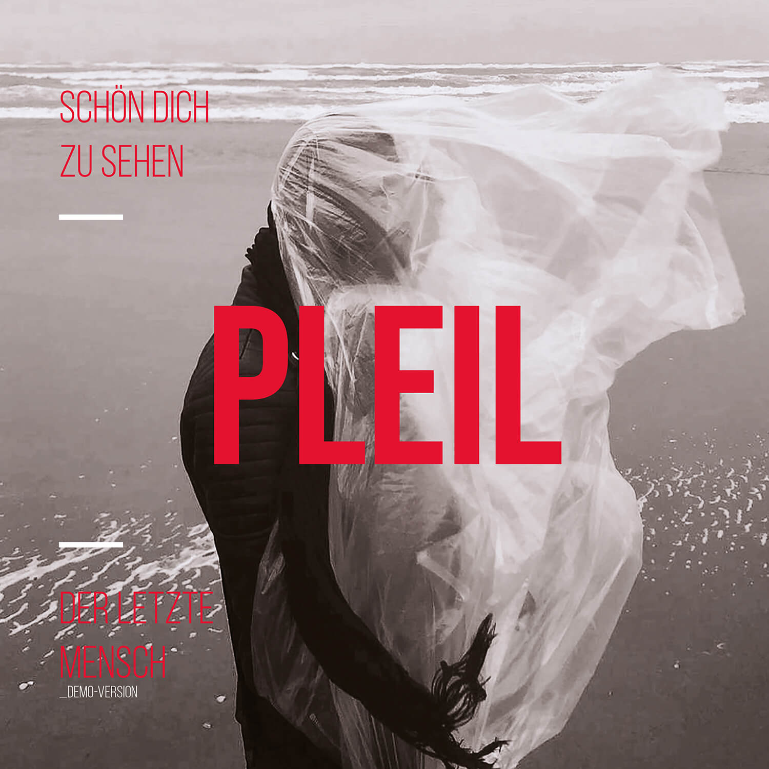 PLEIL – Schön Dich zu sehen (2022) | Single Artwork by Soheyl Nassary