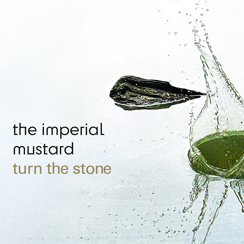 The Imperial Mustard – Turn The Stone (2025) | Cover Design by Soheyl Nassary